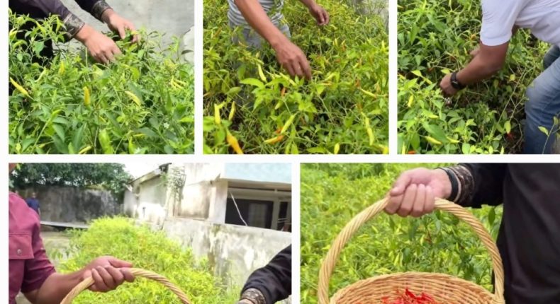 foto slider headline