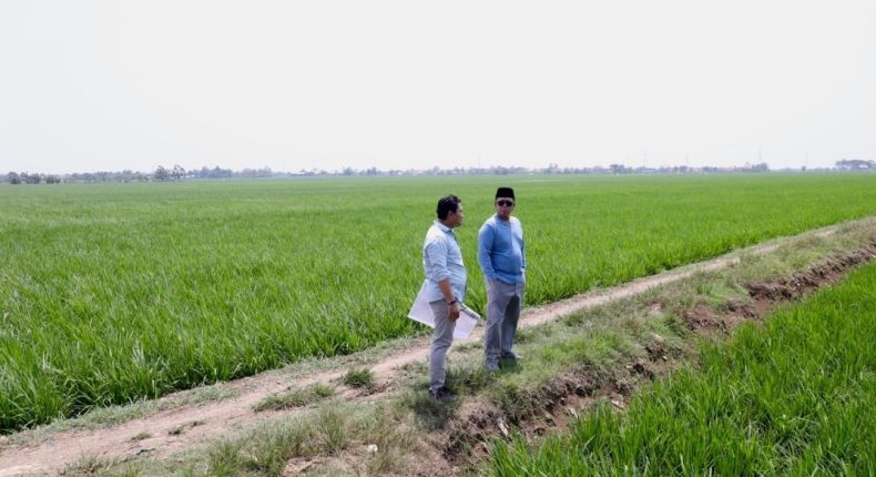 foto slider headline